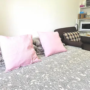Dp -self Check In- Will Send Number And Password Apartment Präfektur Tokio